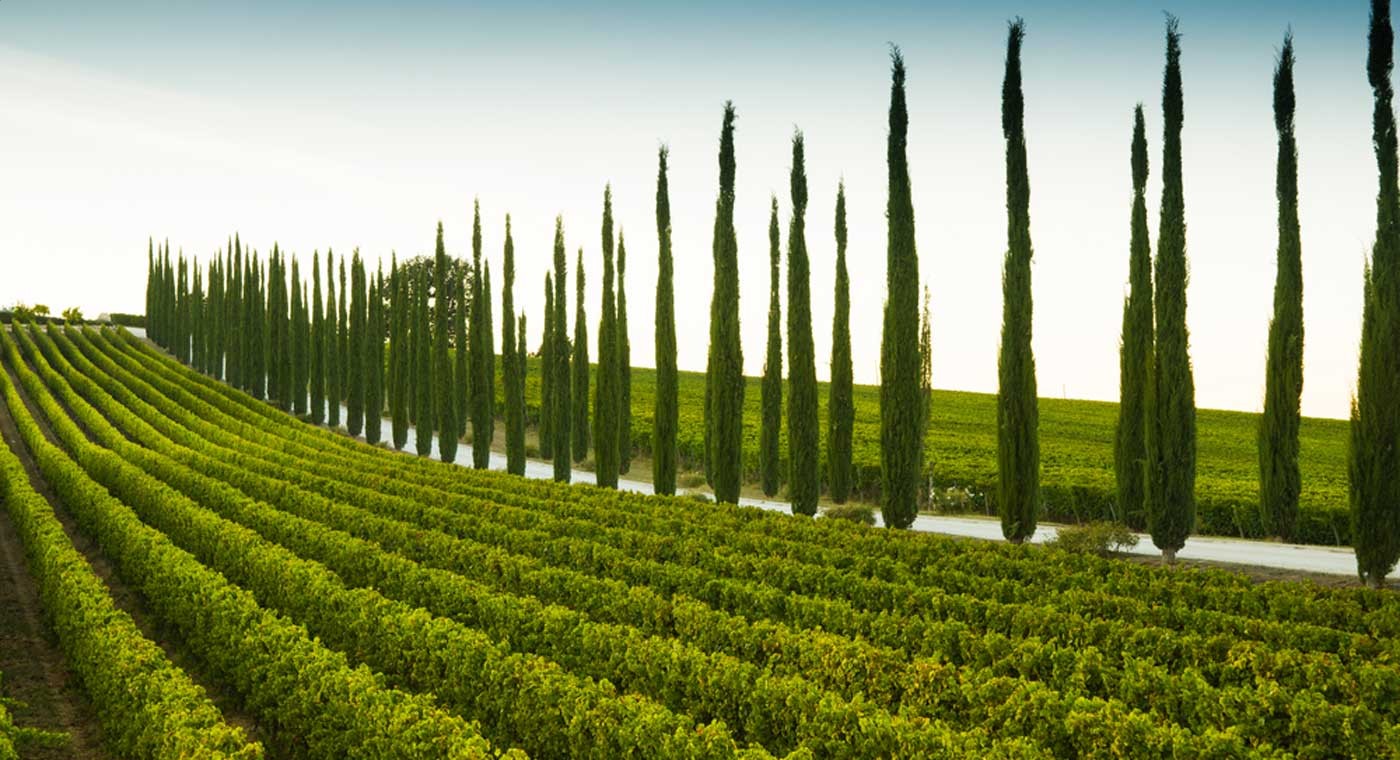 Área do Chianti Classico