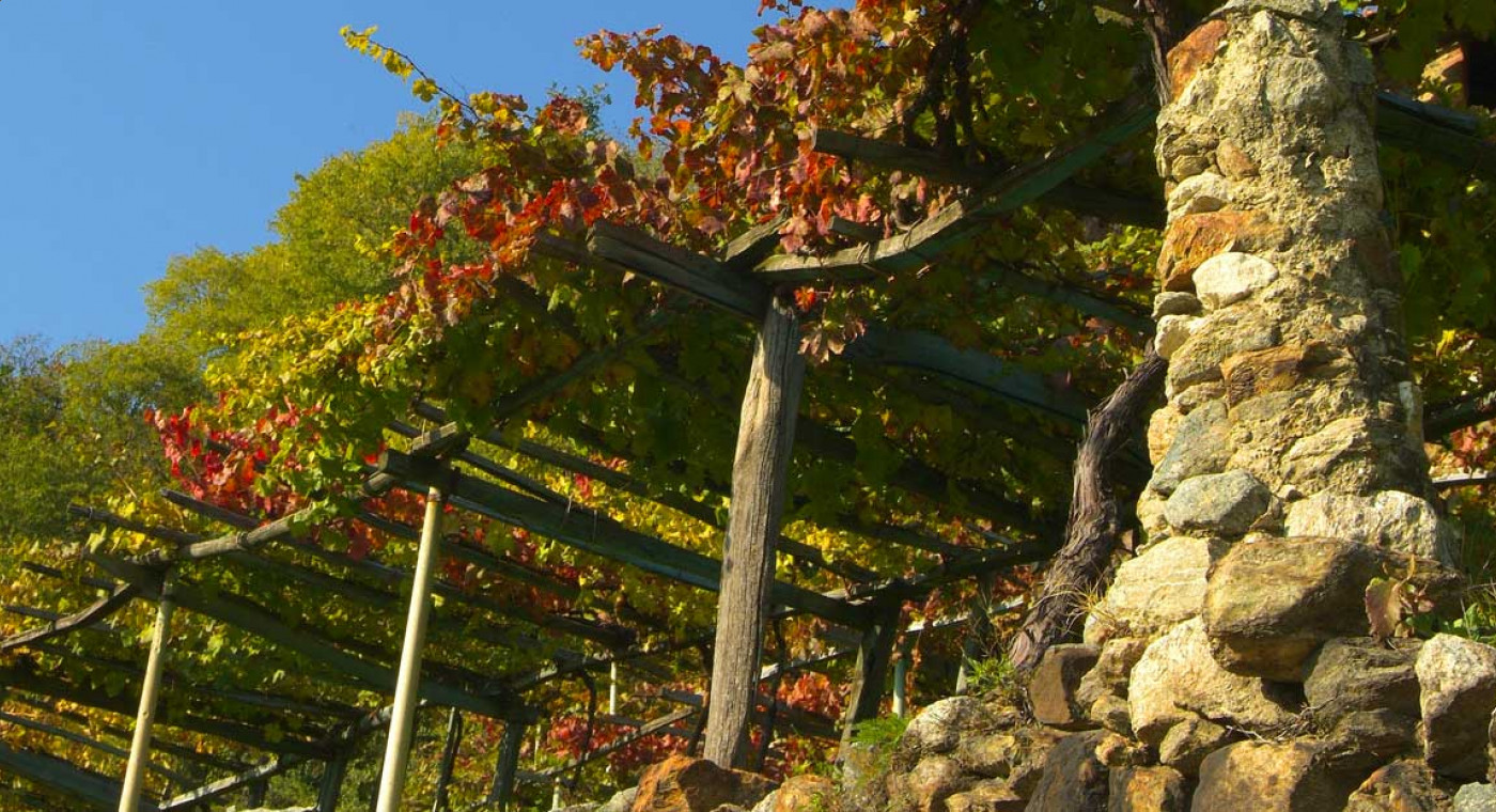 Gateway of the Alps: 5 days Canavese Piedmont Culinary Tour 
