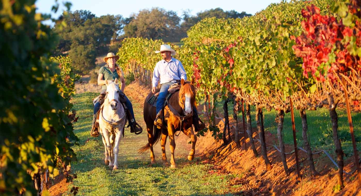 Giro del Chianti a cavallo