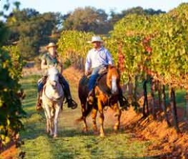 Giro del Chianti a cavallo