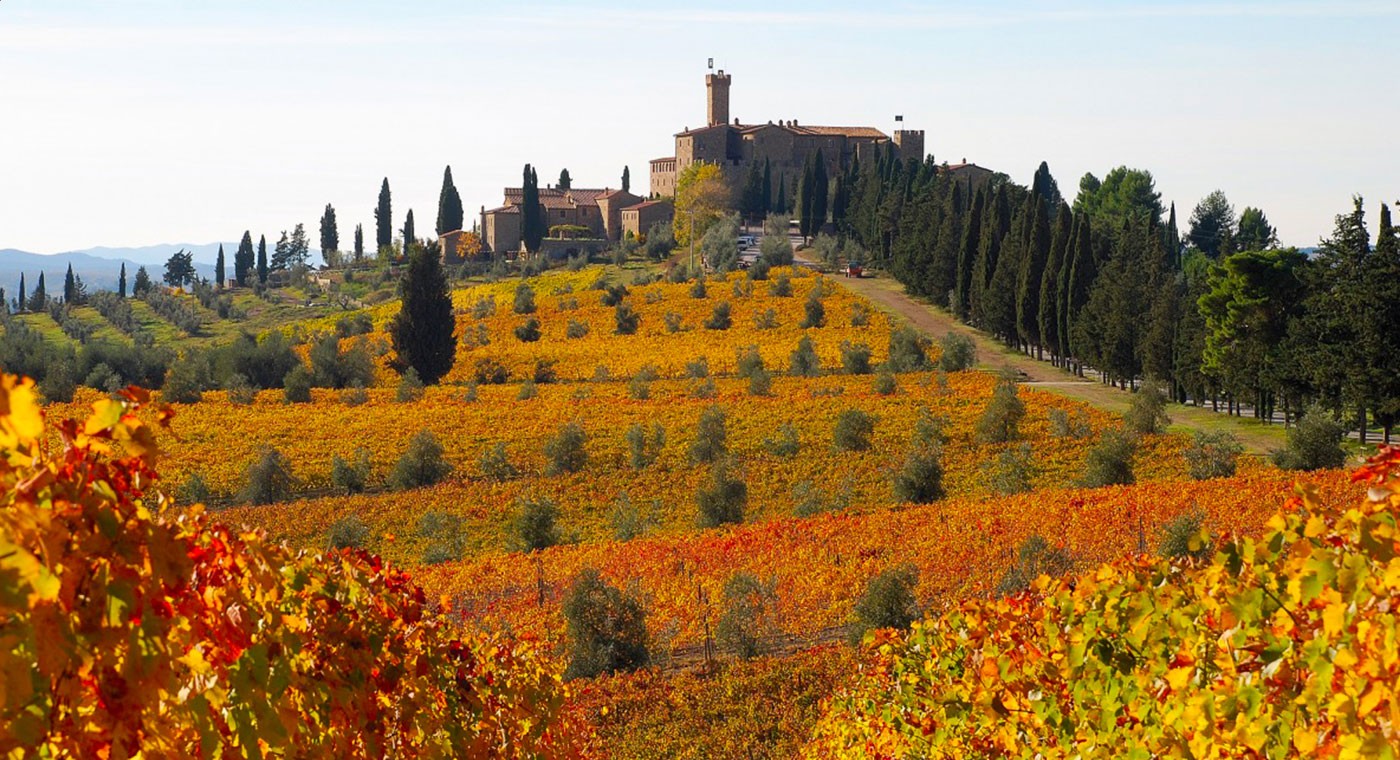 Excursion: à la découverte du Brunello di Montalcino