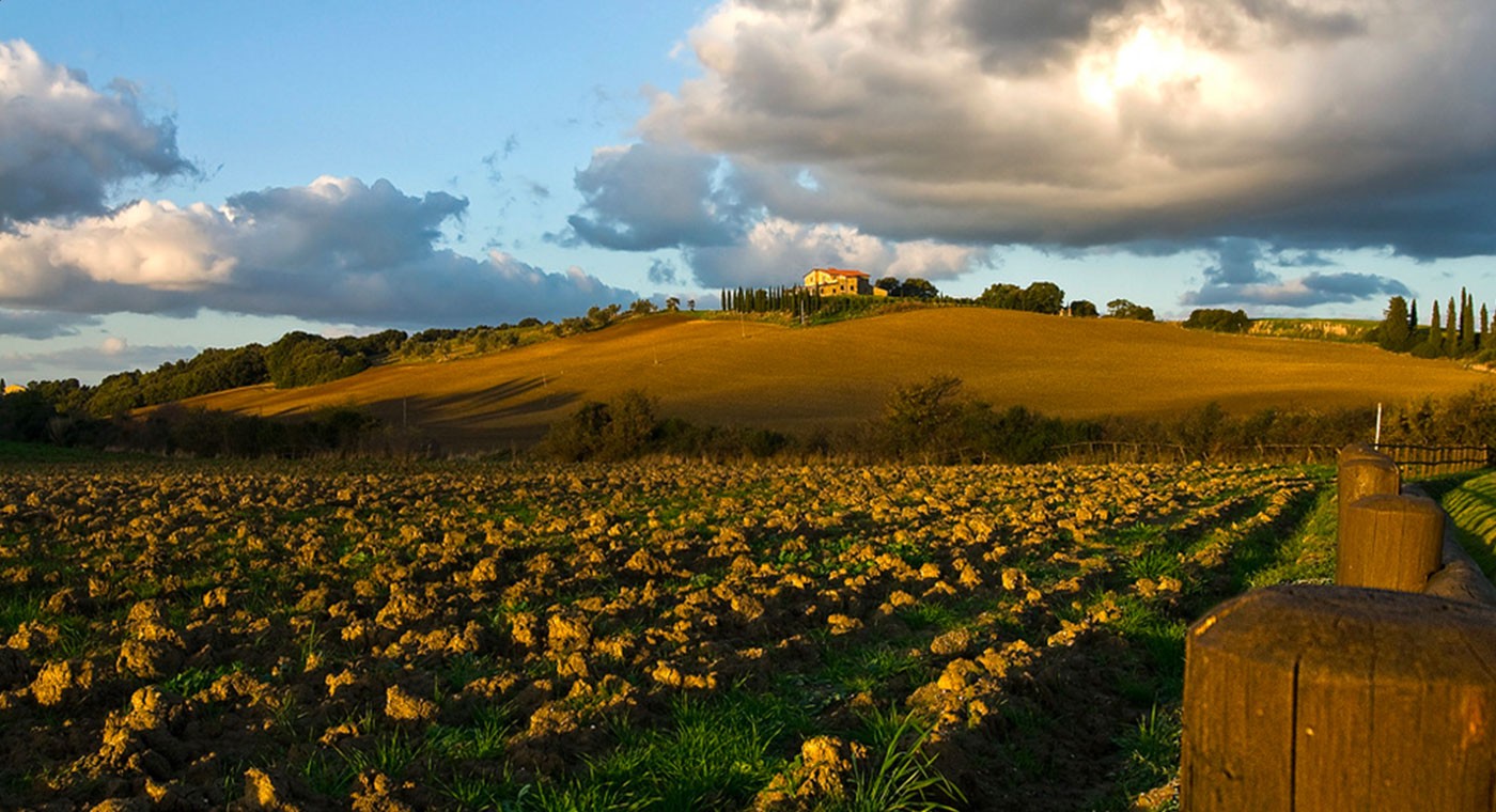 Tour: Bolgheri e i Supertuscans        