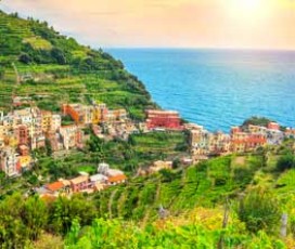 Tour Cinque Terre: Vino e vigneti panoramici sul mare        