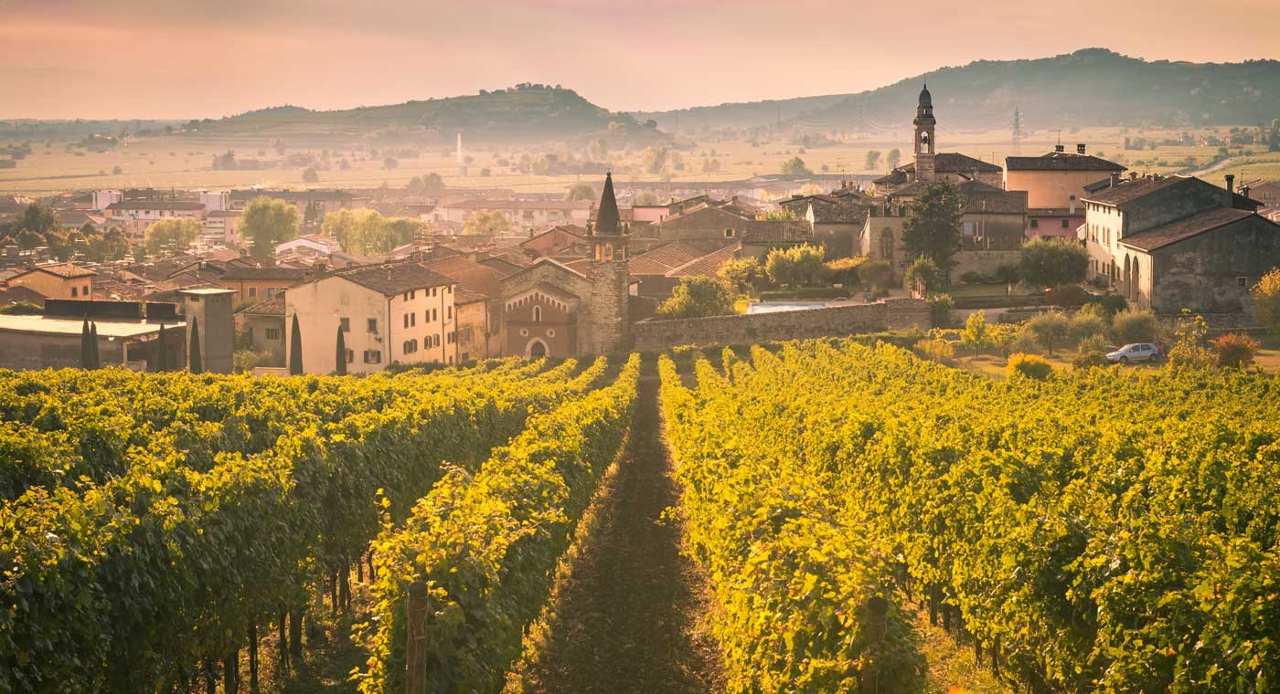 Tour Enogastronomico Castelli Romani e Frascati       