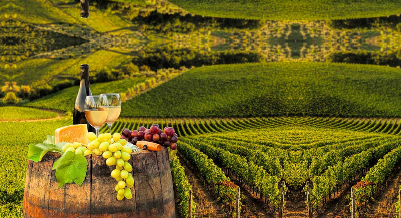 オイルとチーズとワインを楽しむインプルネータとキャンティの旅 (Impruneta & Chianti)