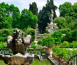 Jardim de Boboli, jardim de Bardini, e museu da porcelana