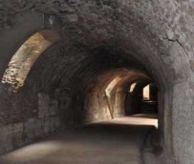 Guided Tour Colosseum and Undergrounds