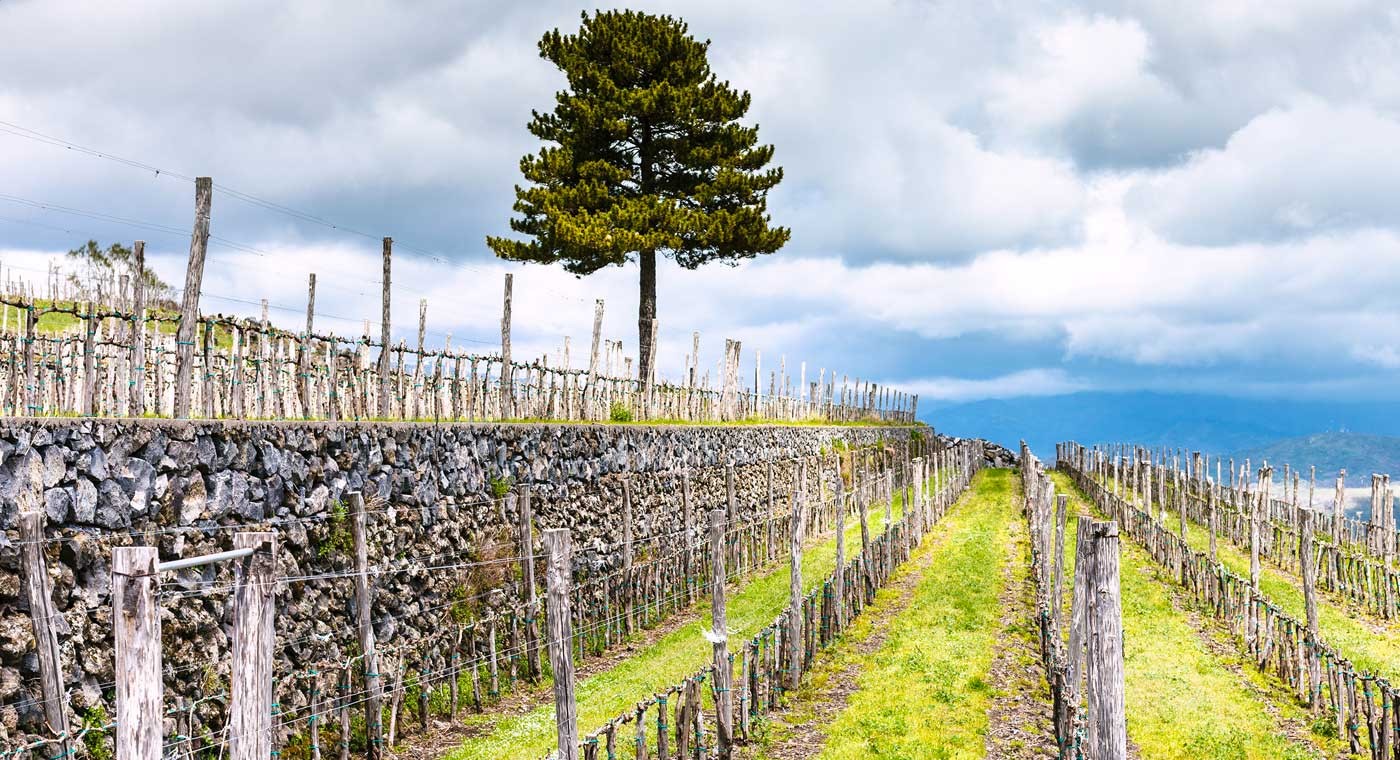 Route des vins de l'Etna et Alcantara en Fiat 500        