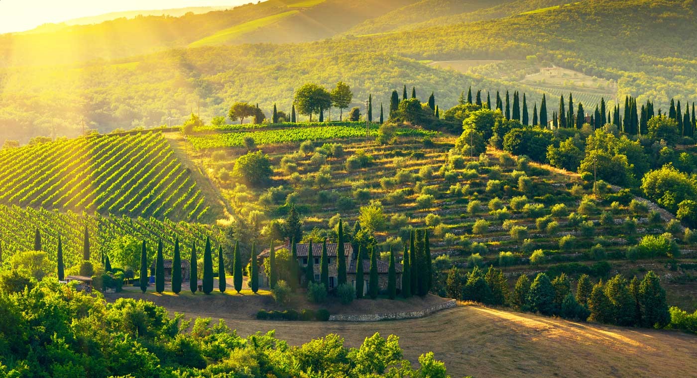 Photographic Tour in Chianti        