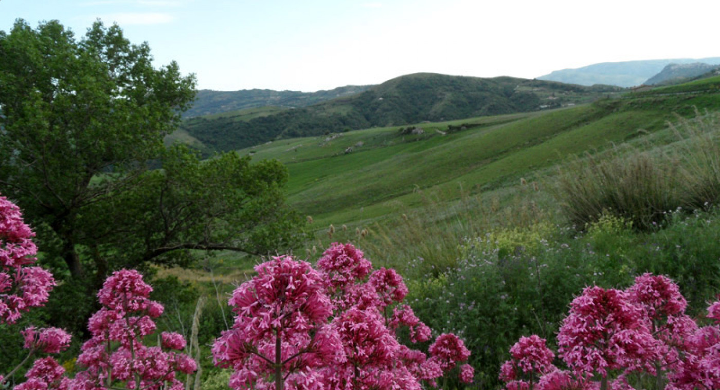 Nature Weekend in Sicily: Hiking the Sosio River Valley